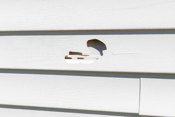Same-Day Junk Removal Services in Independence, KY