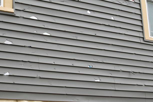 Best Garage Cleanout  in Independence, KY